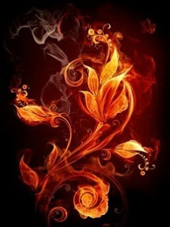 Огненные цветы